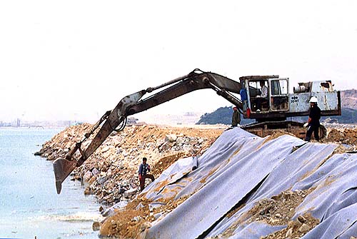 195.jpg (48449 bytes)