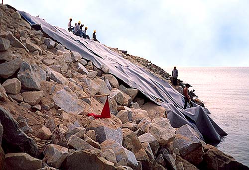 196.jpg (52857 bytes)