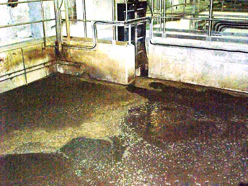 aeration_out.jpg (43K bytes)