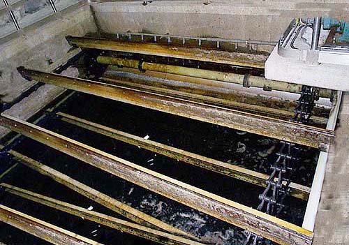skimmer.jpg (42K bytes)