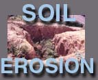 erosion_logo1.jpg (13606 bytes)